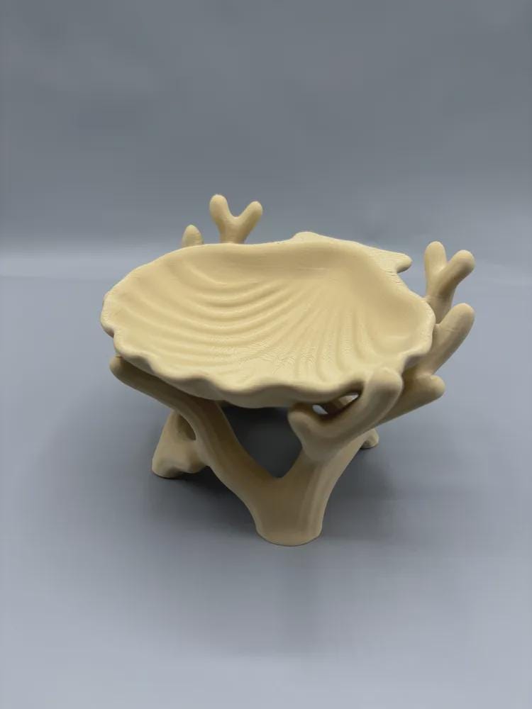 Organic Coral Jewelry Display Bowl – Sculptural Catchall Tray