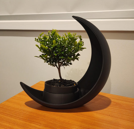 Crescent Moon Planter with Elliptical Plant Pot l Modern Moon Decor for Small Plants l Desk & Shelf Decor l Made to Order